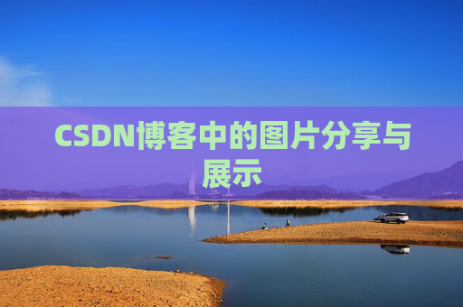 CSDN博客中的图片分享与展示